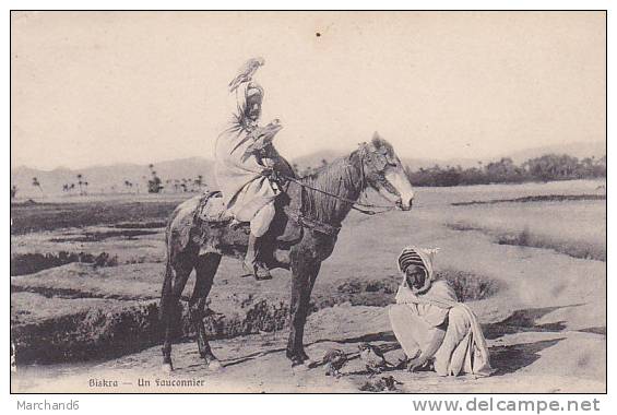 ALGERIE.BISKRA.UN FAUCONNIER  editeur maure