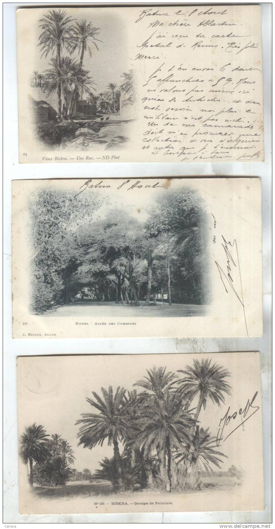 3 CPA BISKRA  EN 1902