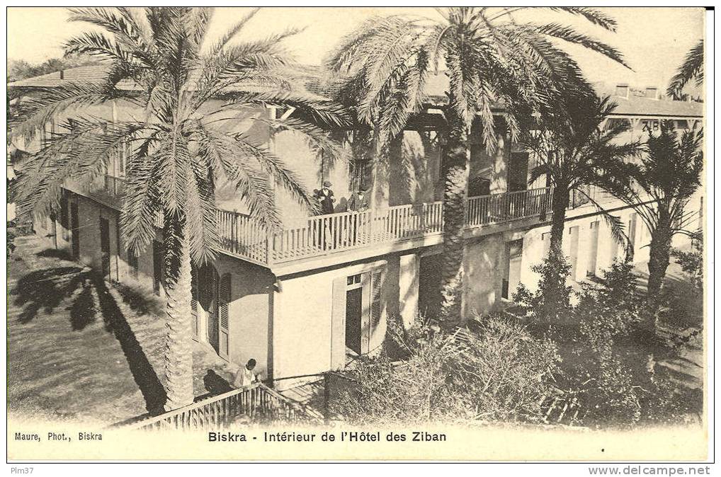 BISKRA - Hotel des Ziban