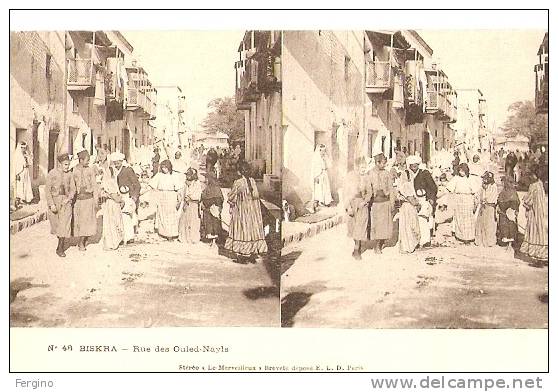 7536 - BISKRA (ALGERIA) - Rue des Ouled-Nayls