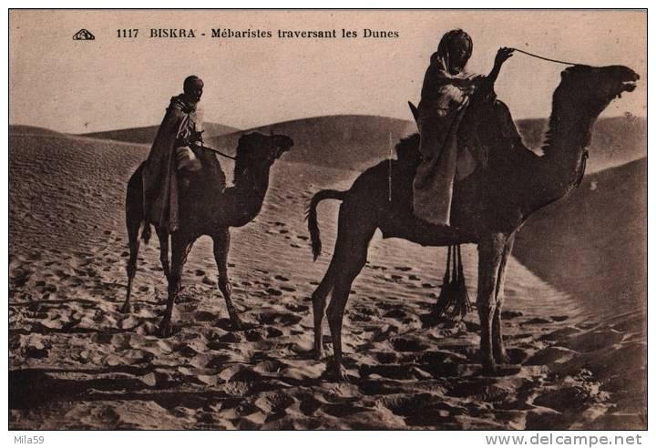 Biskra. Méharistes traversant les Dunes.