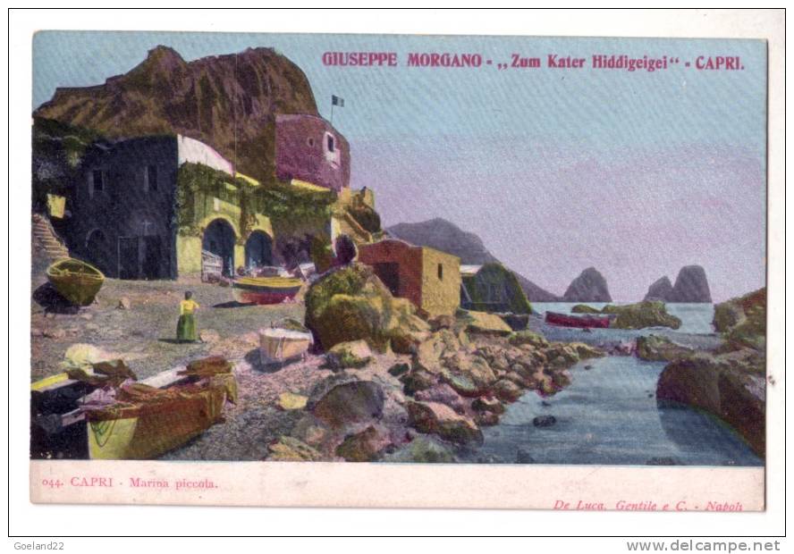 1148  -   BISKRA  -  Chameaux  entravés