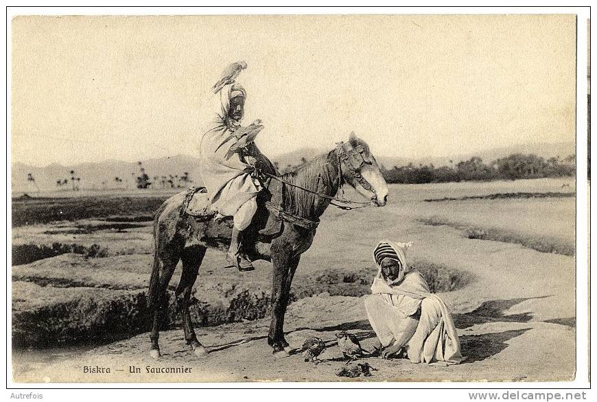 ALGERIE  BISKRA  UN FAUCONNIER