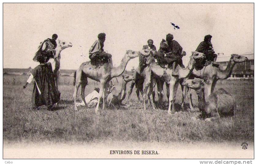 BISKRA   Environs