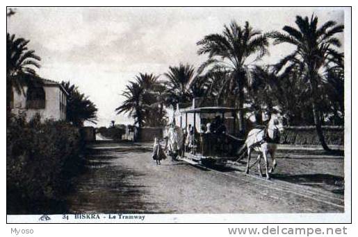 BISKRA Le Tramway tire par un cheval