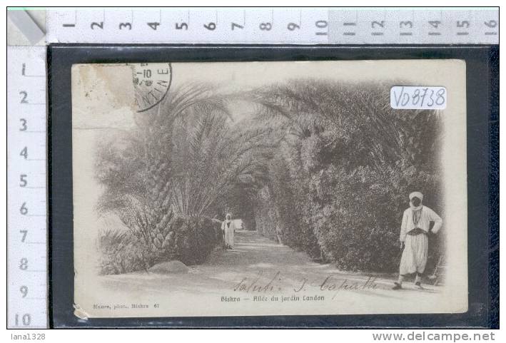 V08738 BISKRA ALLEE DU JARDIN CANDON COSTUMI FOLKLORISTICI FOLCLORISTICI GIARDINI PARCHI