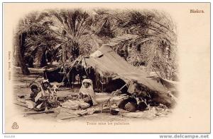 BISKRA (Algérie) - Tente sous les palmiers