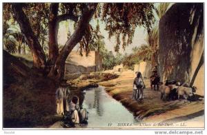 BISKRA (Algérie) - L´Oasis de Bab-Darb