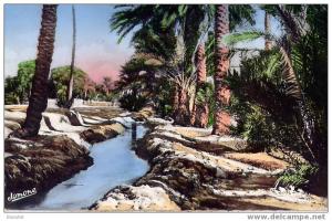 BISKRA (Algérie) - Une Seghia dans la Palmeraie