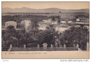 Vue Sur l'Oasis Et Le Col De Sfa, Biskra, Algeria, Africa, 1900-1910s