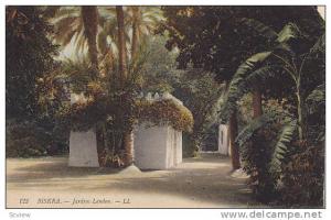 Jardins Landon, Biskra, Africa, PU-1913