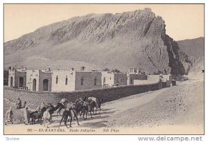 EL KANTARA, Ecole Indigne, Camels, Biskra, Algeria, 00-10s