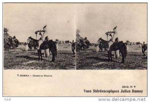 BISKRA - chasse aux faucons - vues stereoscopiques julien damoy - serie n° 9  (19413)