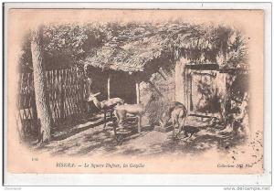 algérie    biskra le square dufour les gazaelles