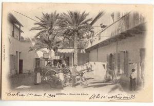 M420 - BISKRA - Hôtel des Zibans