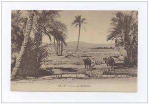 ALG.3   ALGERIE   BISKRA   Les Environs