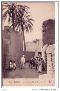 ALGERIE , BISKRA , Un coin de Ras el Guerria