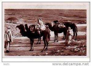 Algérie  - Z752 - Biskra - Halte au Col de Sfa - bon  état - semi moderne petit format