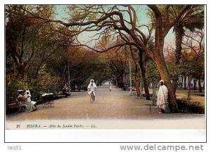 Algérie  - Z754 - Biskra - Allée du Jardin Public - bon  état