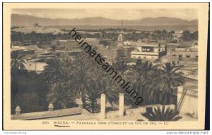 Biskra - Panorama vers L'Oasis et le Col de Sfa