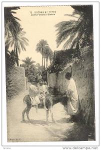 Dans l'Oasis a Biskra, Algeria, 00-10s kids on donkey