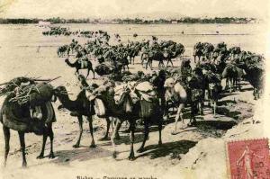 BISKRA - RENDEZ-VOUS DES CHAMELIERS- GROS PLAN ANIME