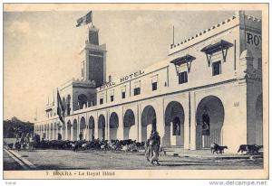 NK-BI 024-Algérie-Biskra-Le Royal Hôtel-Troupeau Mouton-