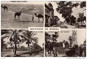NK-BI 031-Algérie-Biskra-Souven ir multi-vue-Vrai Photo-CAP-
