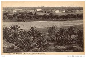 NK-BI 040-Algérie-Biskra-Route des Ziban et Palmeraie