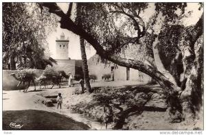 NK-BI 044-Algérie-Biskra-La Mosquée Bab-Darb-CIM-