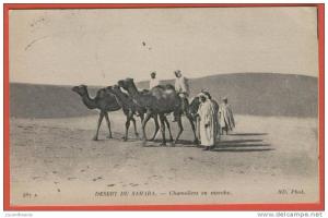 D139, Désert du Sahara , Chameliers en marche , 467, Chameau, circulée  1923