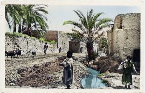 BISKRA - Vieille ville - Enfants et animaux