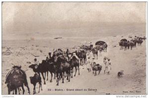 biskra-grand désert du sahara cpa bon état