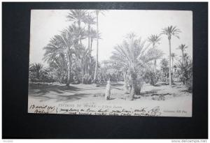 Environs de Biskra L'Oasis Zaouïa