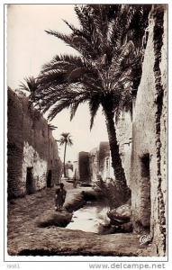 Algérie - Z669 - Biskra - Une Rue de BabDarb - bon état - semi moderne petit format