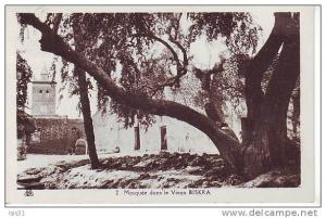 Algérie - Z742 - Biskra - Mosquée - bon  état