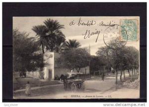 ALGERIE Biskra Avenue de Lacroix, animée, Attelage, ed LL 115, 1906