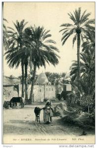 Algérie - belle CPA Biskra - Marabout de Sid-Lhassen