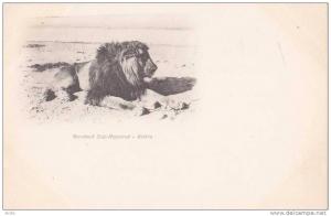 BISKRA - Marabout Sidi-Messaoud