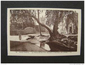 CPA ALGERIE-Vieux Biskra-La mosquée de Sidi Maleck à travers les arbres