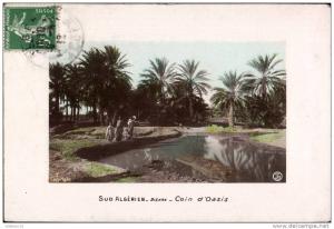 ALGERIE   BISKRA   coin d'oasis