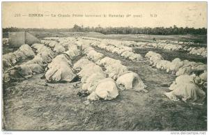 Biskra  La grande Prière terminant le Ramadan    (6189)