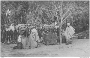 CONSTANTINE - ALGERIE - MARCHANDS DE FIGUES DE BARBARIE - métiers - collection ND. photo