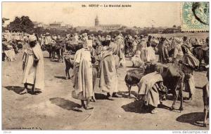 24  -  Setif ( Constantine )  -  Le marché Arabe