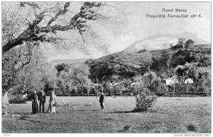 CPA   OUED MARSA - Propriété Ferrouillat 28e K. - propriété viticole