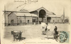Algérie - Constantine -  Marché - Halles aux grains - Architecture