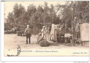 ref6120  MARCHANDS DE FIGUES DE BARBARIE