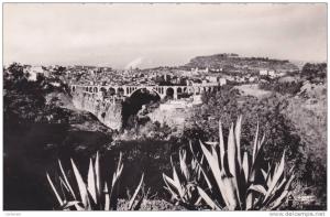 AFRIQUE,AFRICA,AFRIKA, Algérie,CONSTANTINE,QACEN TINA,CIRTA,1955,PONT,vue aerienne,cactus