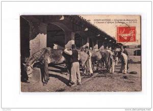 ALGERIE Constantine Caserne Mansourah, 3è Régiment Chasseurs Afrique, Pansage Chevaux, Maréchal Ferrant, ed ND 162, 1911