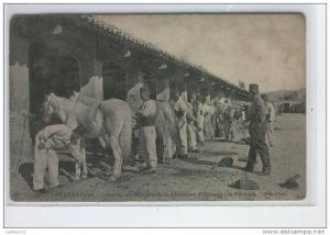 ALGERIE    CONSTANTINE     chasseurs d'afrique, le pansage